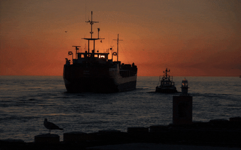 Sagacity – statek, który miał duszę