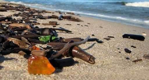 MKiŚ: z przekopu Mierzei Wiślanej wydobyto około 17 kg bursztynu