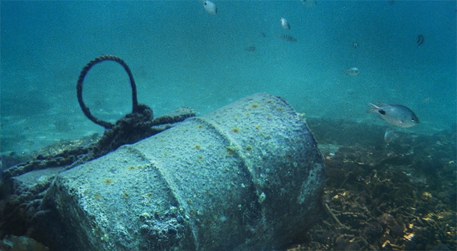 Źródło w KE: Problem amunicji na dnie Bałtyku to dla nas sprawa wyjątkowej wagi