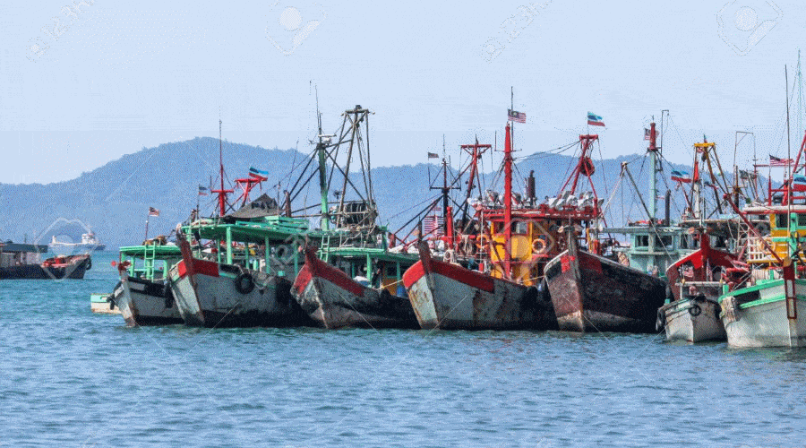 Wspierany przez Chiny rozwój nowoczesnej architektury grozi zniszczeniem rybołówstwa w Malezji / Portal Stoczniowy