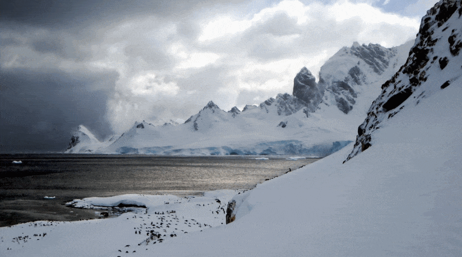 Rusza wyprawa PAN do Polskiej Stacji Antarktycznej im. A. B. Dobrowolskiego