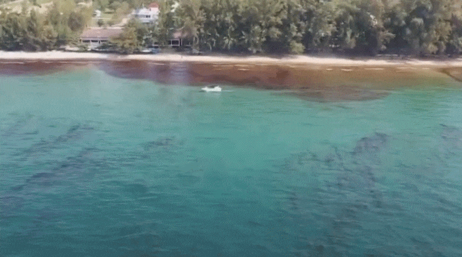 Wyciek ropy zagraża wybrzeżom i rafie koralowej Tajlandii / Portal Stoczniowy