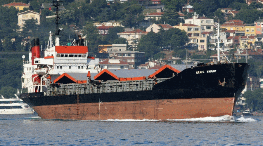 Statki ze zbożem zaczęły pływać do ukraińskich portów na Dunaju ￼