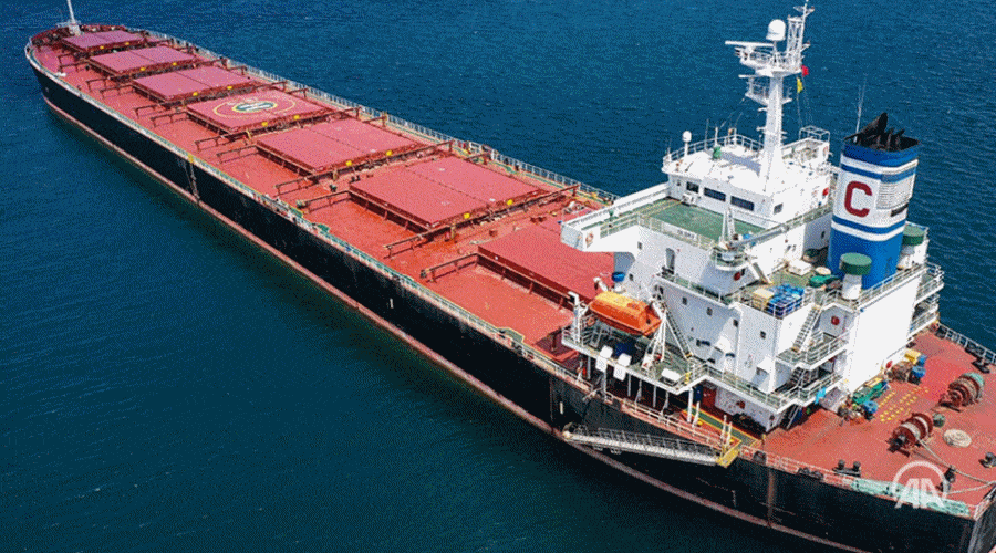 Pierwsze sukcesy w transporcie ukraińskiego zboża 