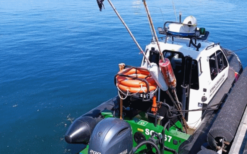 nielegalne sieci / Portal Stoczniowy