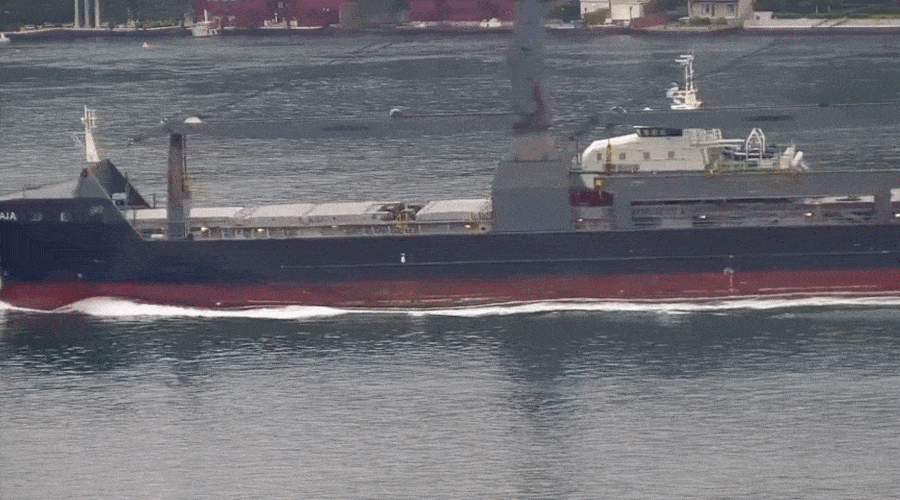 statek towarowy Gaja/Portal Stoczniowy