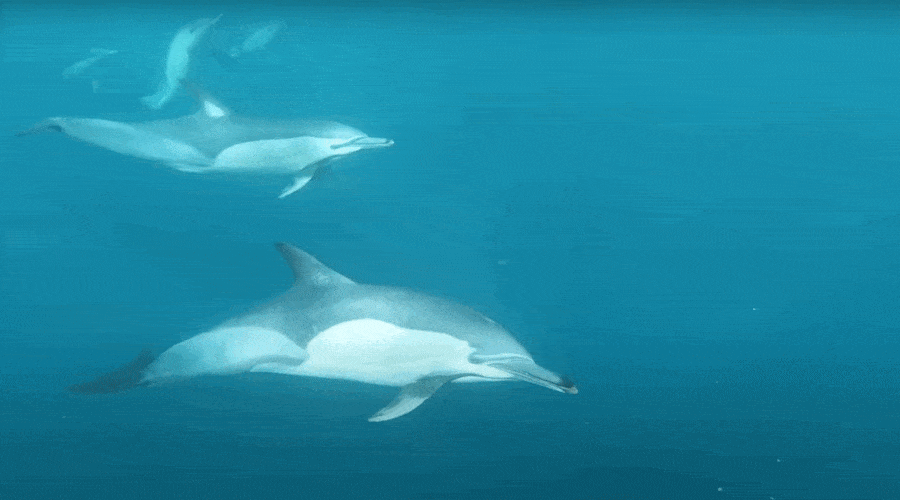 Zmiany klimatyczne / Portal Stoczniowy