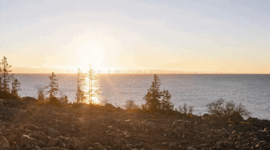 Skyborn / Portal Stoczniowy