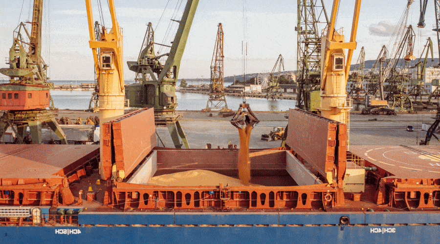 załadunek zboża / Ukraina / Portal Stoczniowy