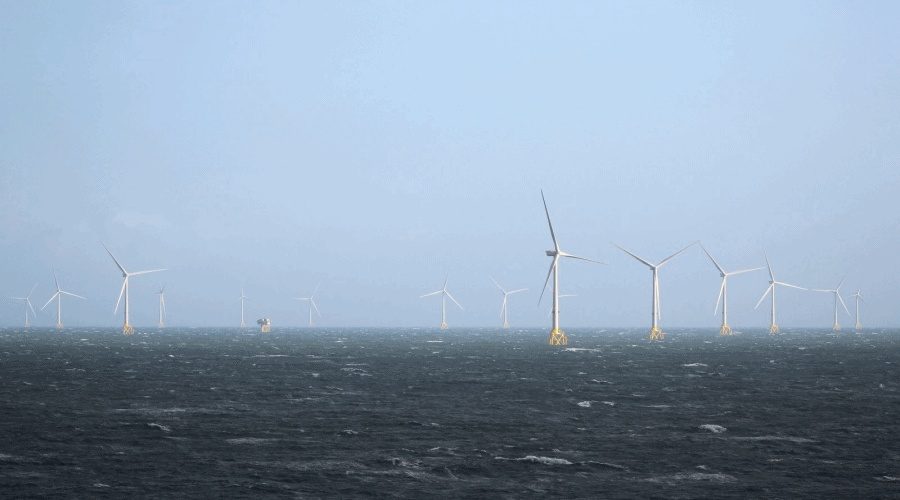 Ocean Winds zdobywa licencję na morską farmę wiatrową w Australii / Portal Stoczniowy