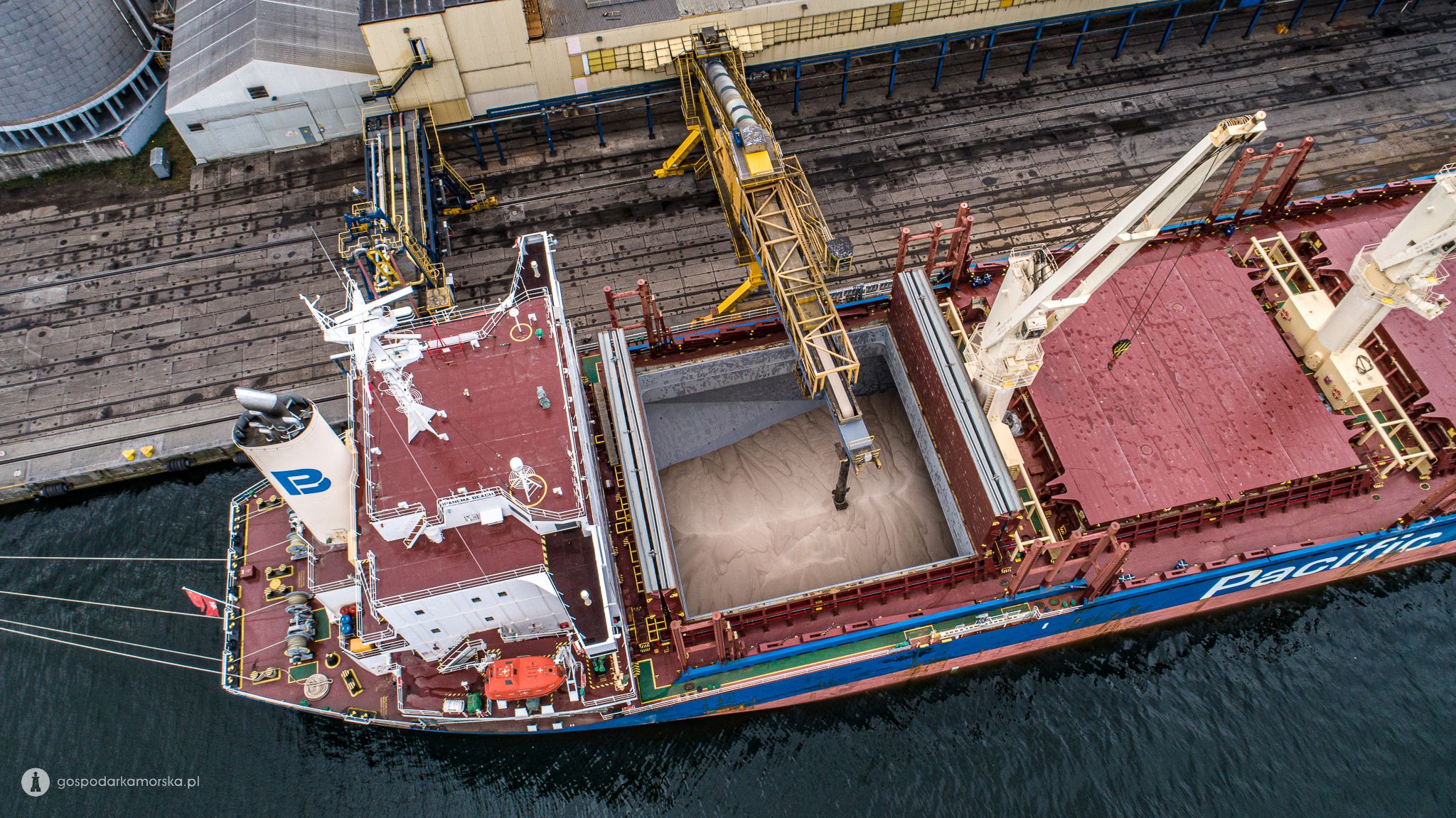 Nadchodzi szczyt sezonu eksportowego zbóż w Porcie Gdańsk / Portal Stoczniowy