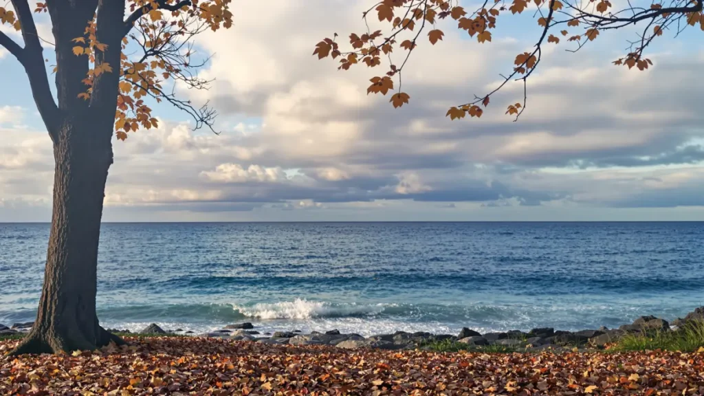 Jesienny Bałtyk – pusta plaża, fale i liście na brzegu / Portal Stoczniowy